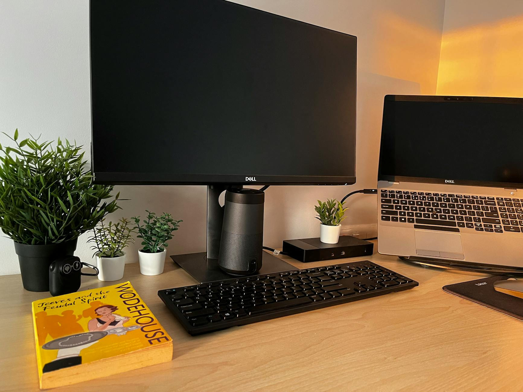 A modern home office setup featuring a monitor, laptop, and greenery for remote work inspiration. on The Anywhere Office